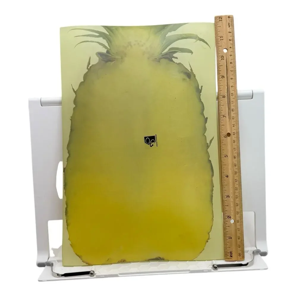 Prima Designs USA Glass Platter Serving Dish  Pineapple Fruit Theme 12